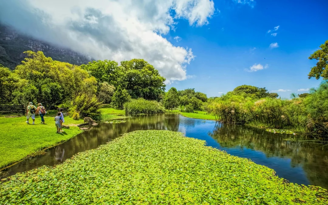 Robben Island, Kirstenbosch National Botanical Garden & Constantia Full-Day Tour with Wine Tasting Image 10