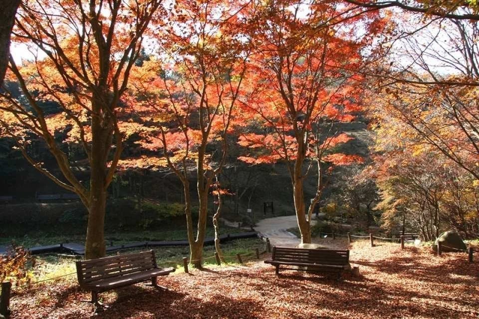 [Instant Reservation Confirmation] Rokko Alpine Botanical Garden | Hyogo, Kobe