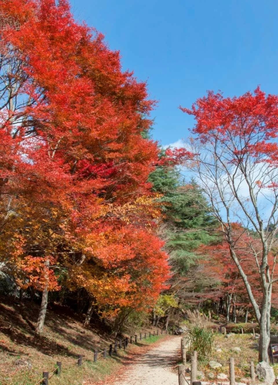 [Instant Reservation Confirmation] Rokko Alpine Botanical Garden | Hyogo, Kobe