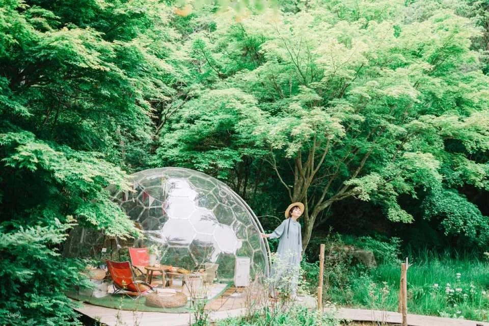 ROKKO Forest Sound Museum Admission Ticket - Instant Booking (Mount Rokko Museum, Kobe City, Hyogo Prefecture)