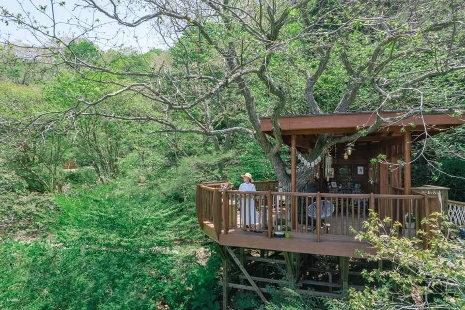 ROKKO Forest Sound Museum Admission Ticket - Instant Booking (Mount Rokko Museum, Kobe City, Hyogo Prefecture)