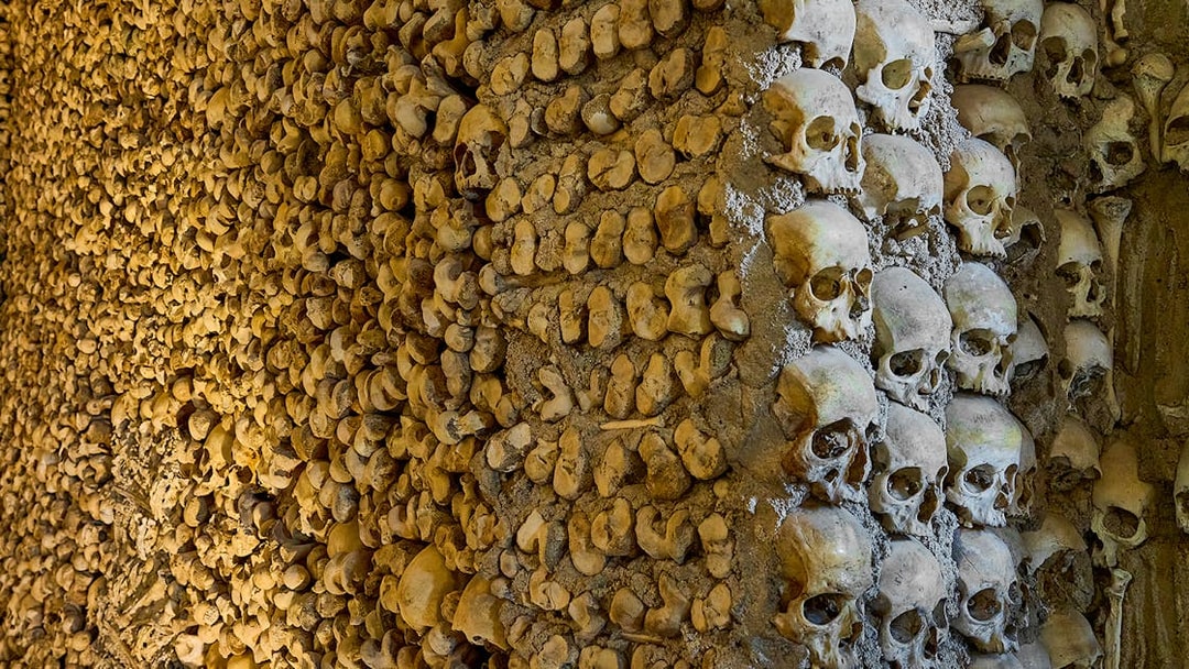 Bones and skulls arranged in catacombs wall.