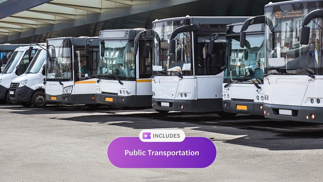 Buses lined up at a terminal, part of Rome Super Pass public transport.