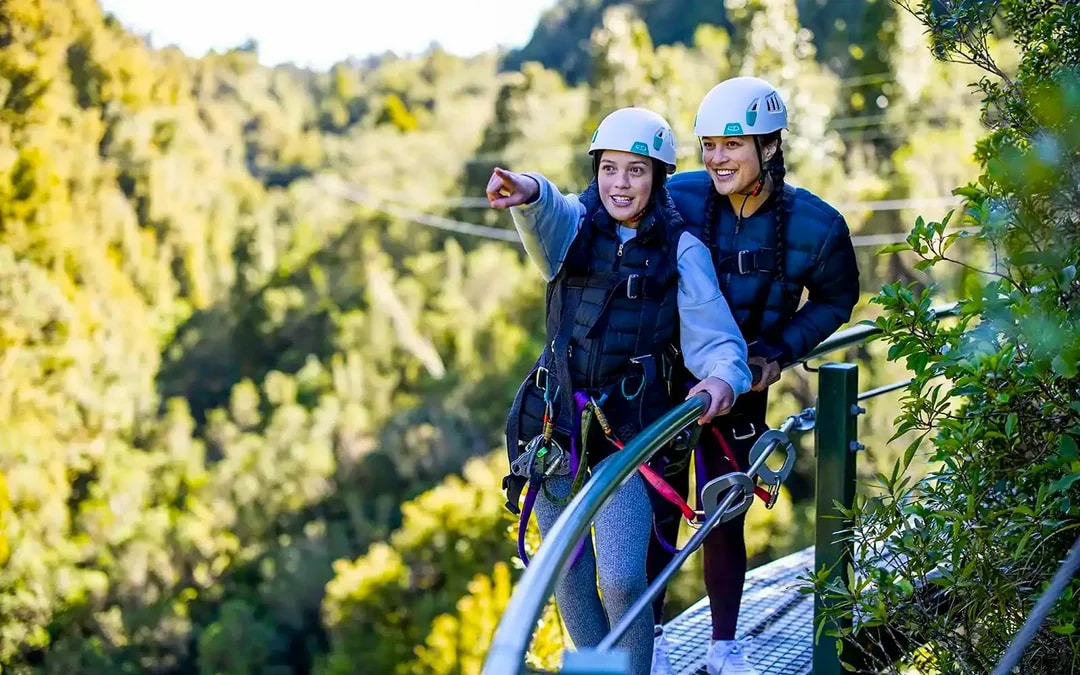 Rotorua Forest Zipline Experience Image 5