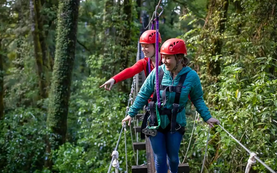 Rotorua Forest Zipline Experience Image 6