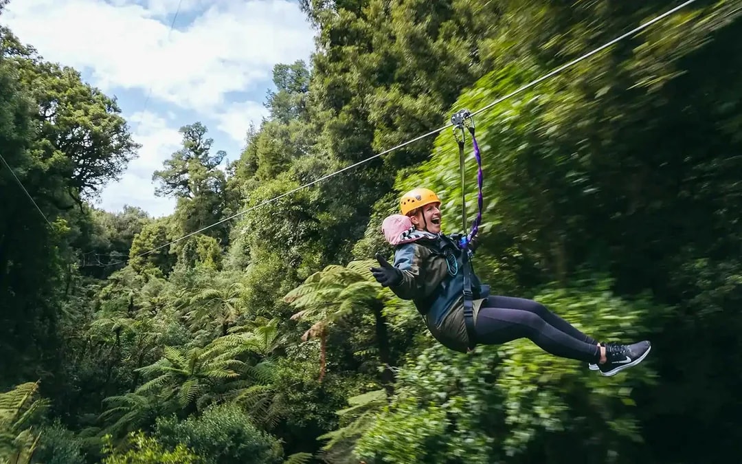 Rotorua Forest Zipline Experience Image 7