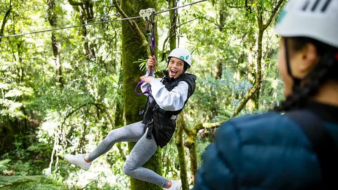Person ziplining through lush Rotorua forest.