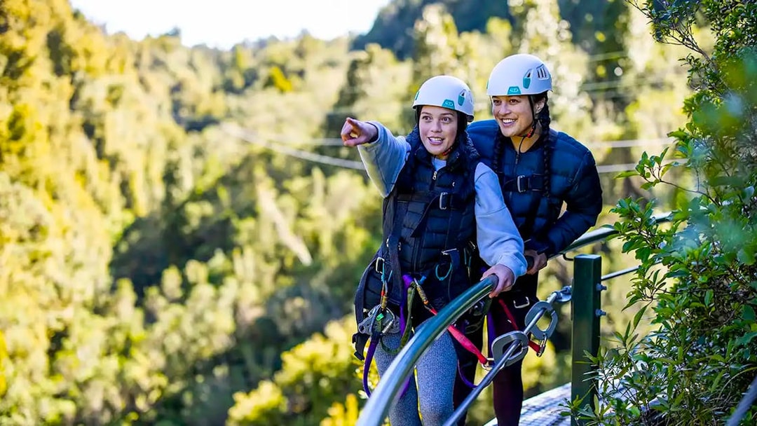 Participants on a Rotorua Forest zipline tour wearing helmets and harnesses.