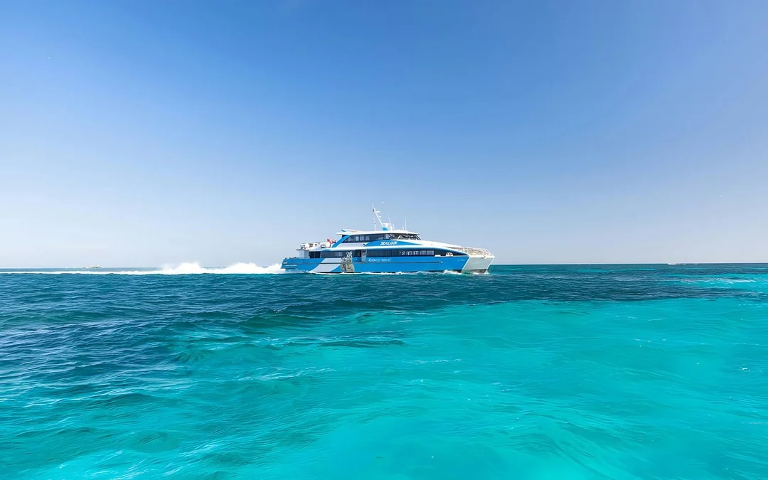 Rottnest Island Ferry and Bike Day Trip Image 2