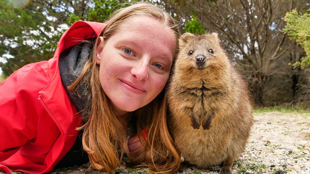 Person smiling with a quokka on Rottnest Island during a ferry and adventure boat tour.