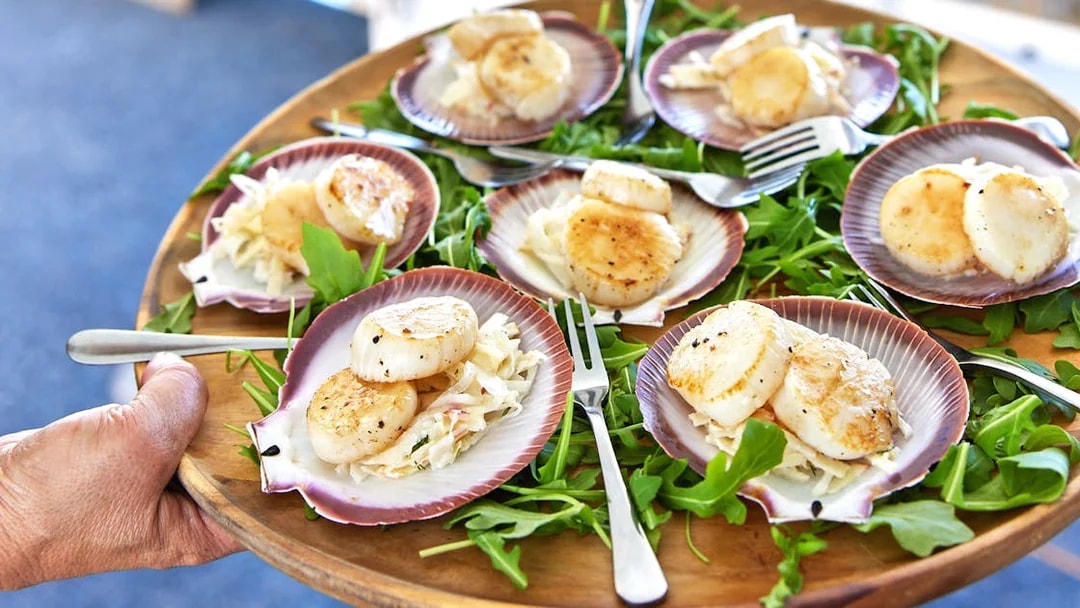 Seared scallops on shells with greens, served on Rottnest Island Luxe Seafood Cruise.