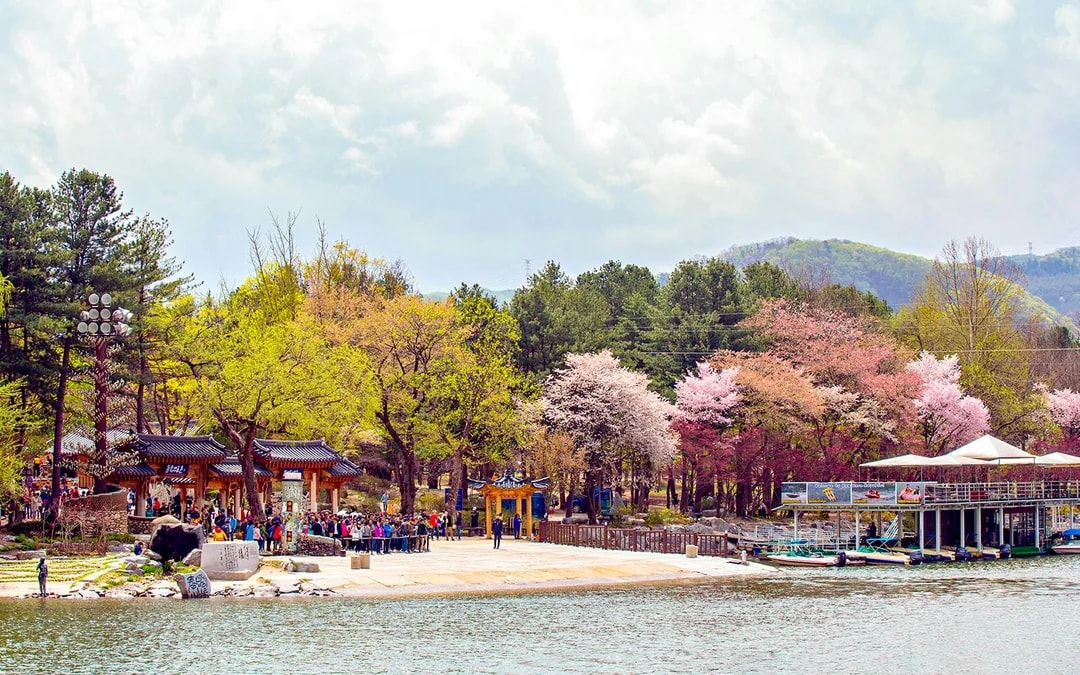 Round Trip Shuttle Bus Service to Nami Island 
 Image 5