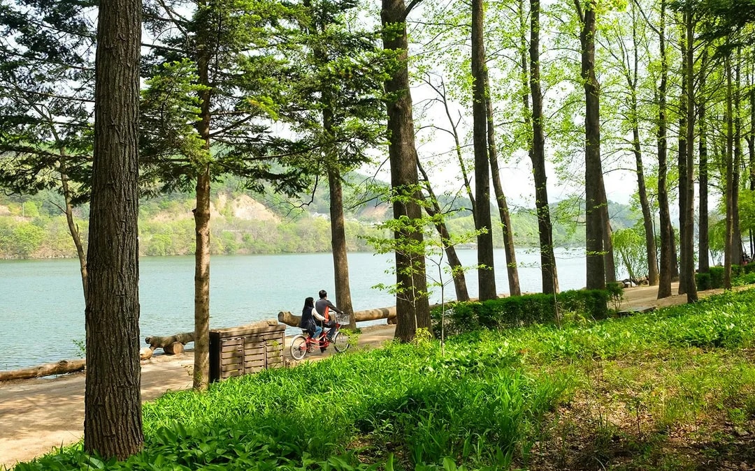 Round Trip Shuttle Bus Service to Nami Island 
 Image 7