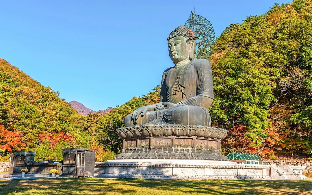 Round Trip Shuttle Bus Service to Nami Island 
 Image 9