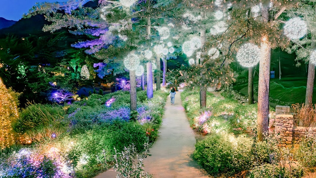 Pathway through garden with orb lights and colorful displays at night, The Healing Park.