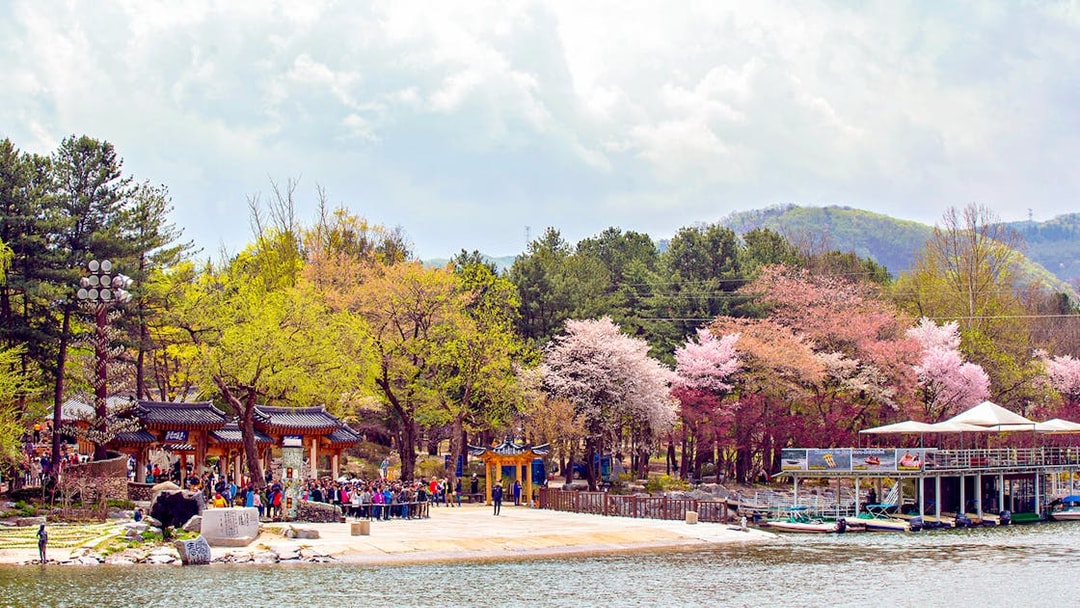 Visitors at Nami Island dock, South Korea, with cherry blossoms and traditional gate.