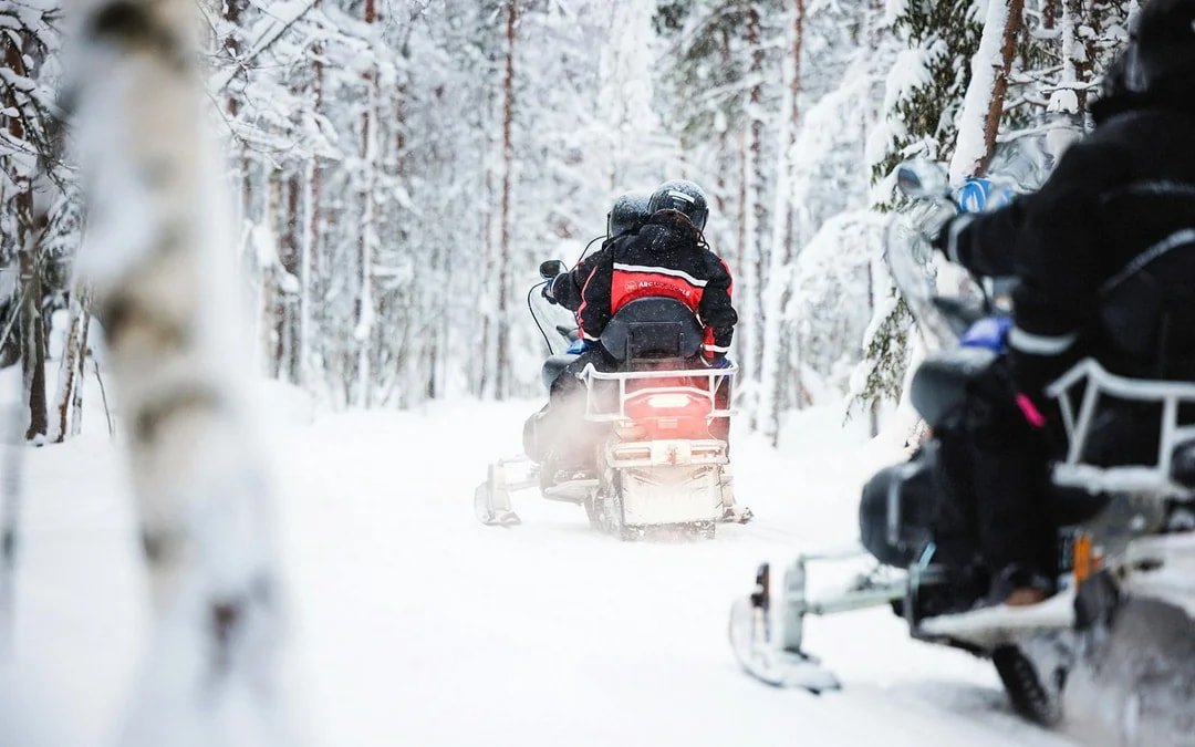 Rovaniemi: Husky & Reindeer Experience and Snowmobile Ride Image 3