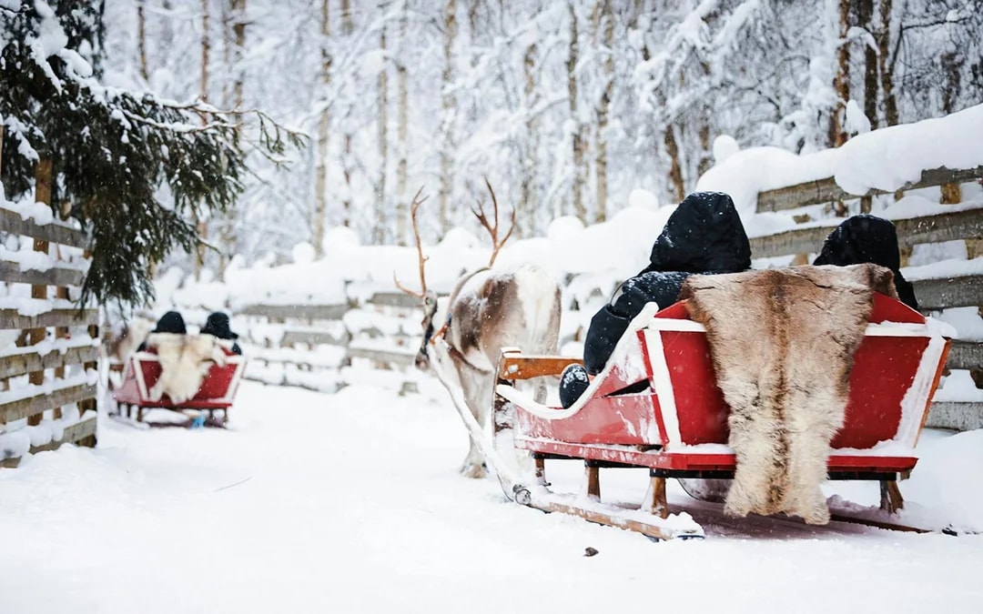Rovaniemi: Husky & Reindeer Experience and Snowmobile Ride Image 6