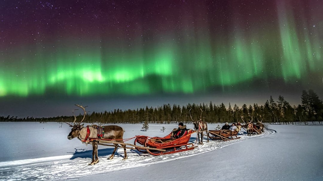 Reindeer sleigh ride under northern lights in Rovaniemi, Finland.