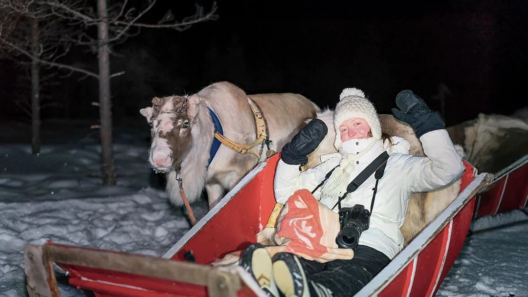 Person in sleigh with reindeer during night ride in snowy Rovaniemi forest.