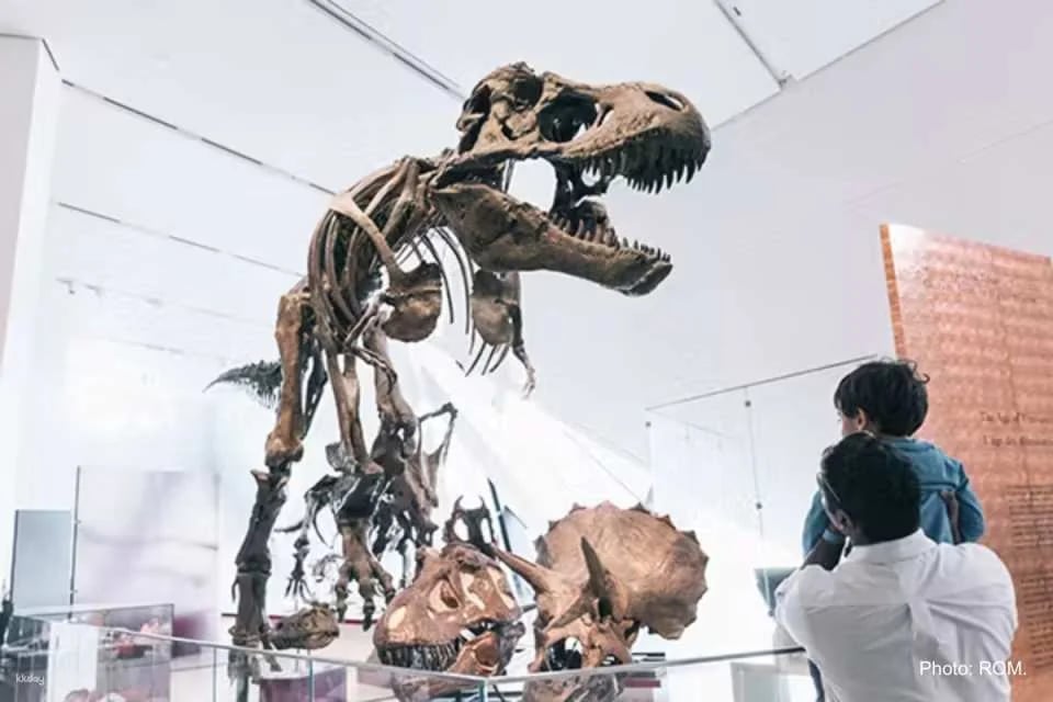 Royal Ontario Museum Ticket | Toronto