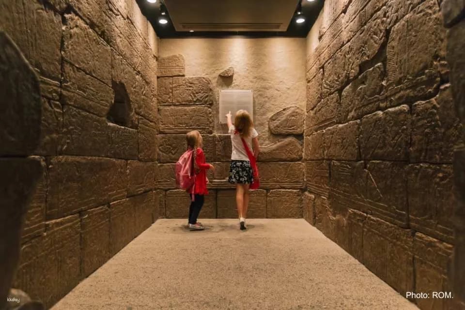 Royal Ontario Museum Ticket | Toronto