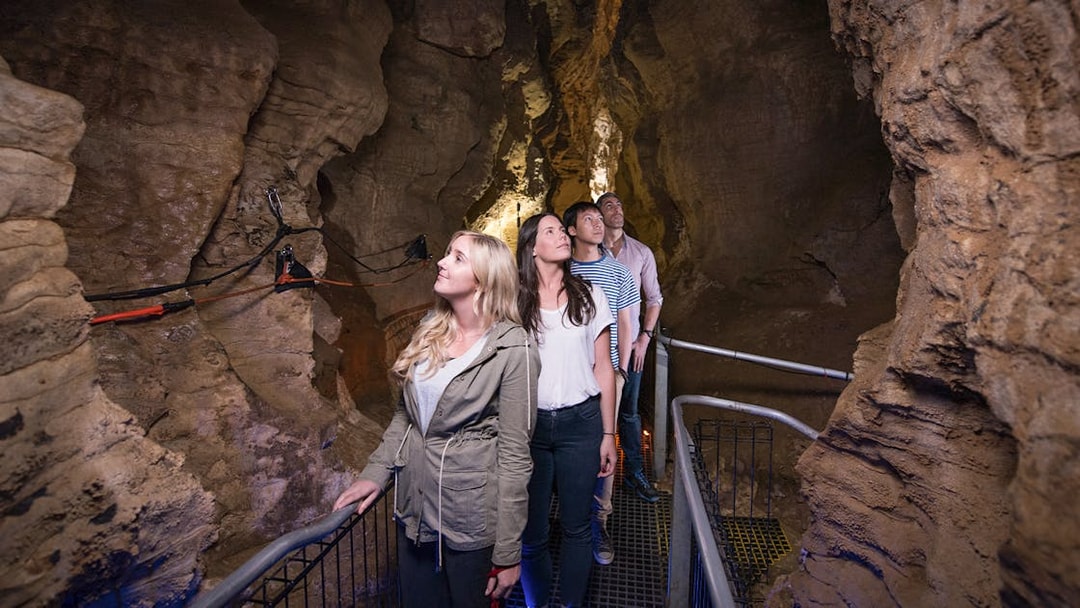 Visitors exploring Ruakuri Cave on a guided tour, New Zealand.