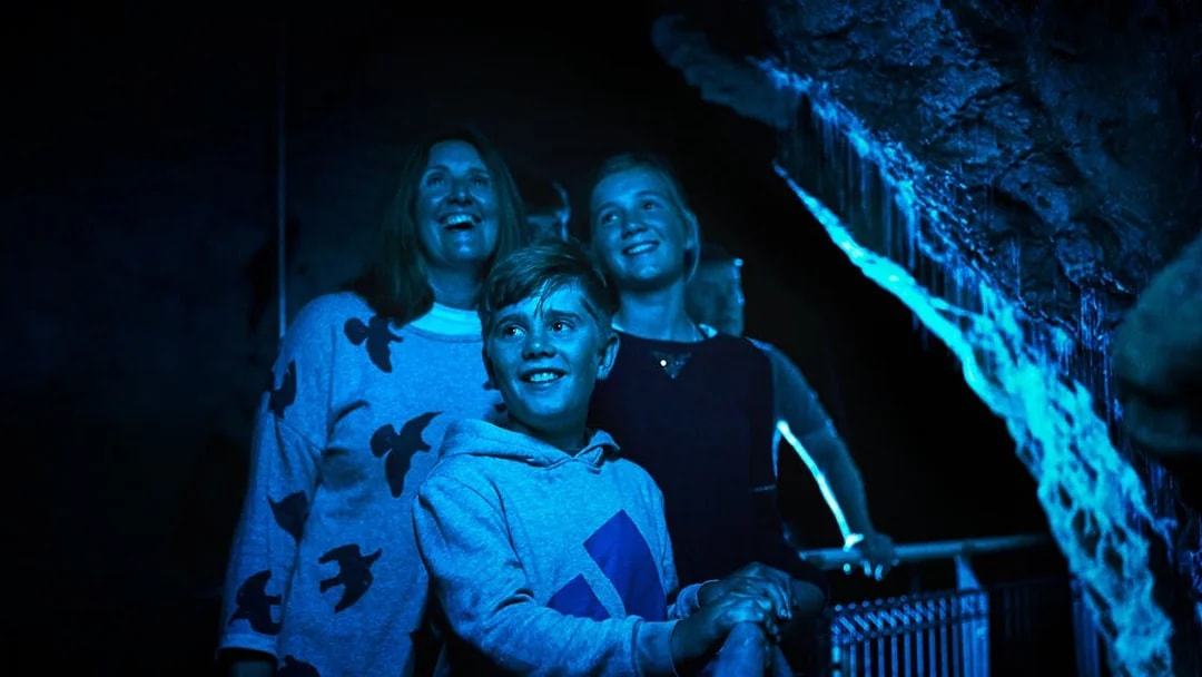 Visitors exploring Ruakuri Cave's illuminated formations during a guided tour in Waitomo.