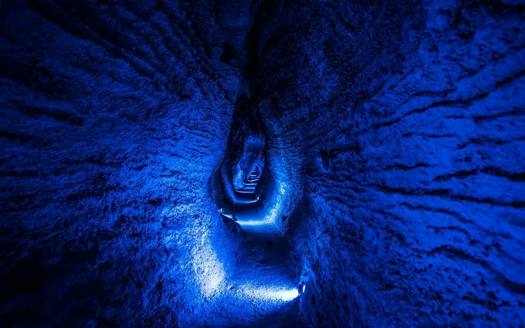 Ruakuri Cave Guided Tour Image 8