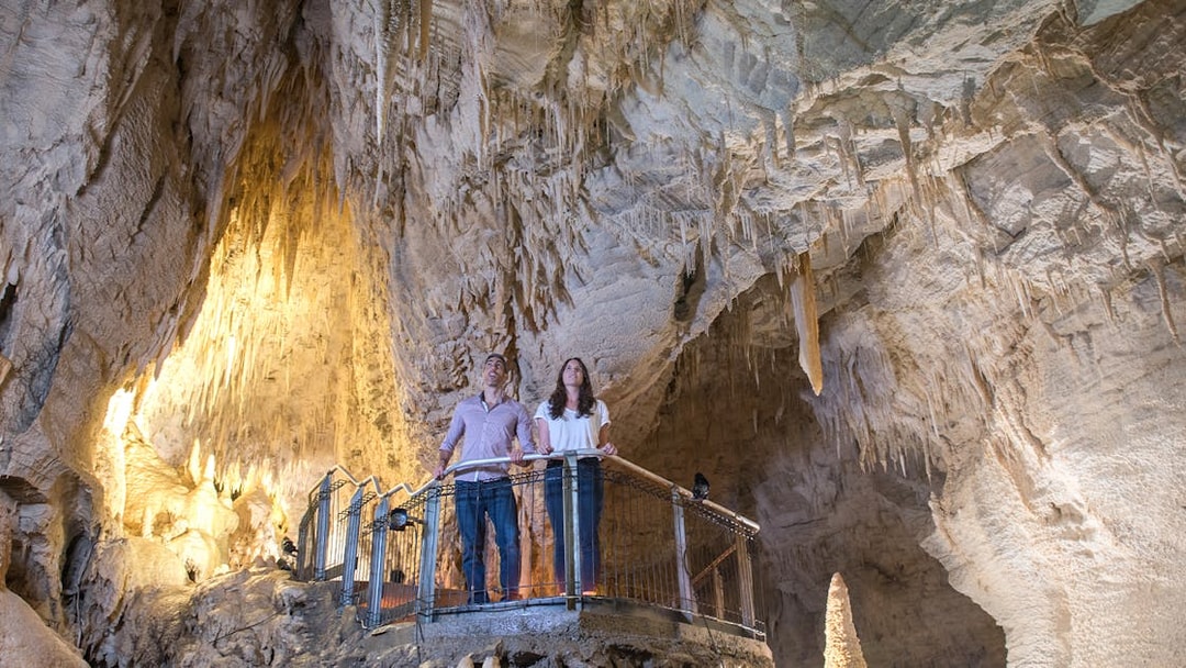 Visitors exploring stalactites in Ruakuri Cave, New Zealand.