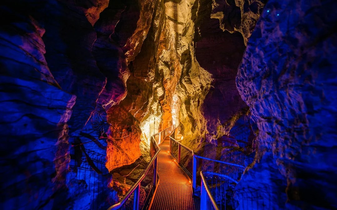 Ruakuri Cave Guided Tour Image 9