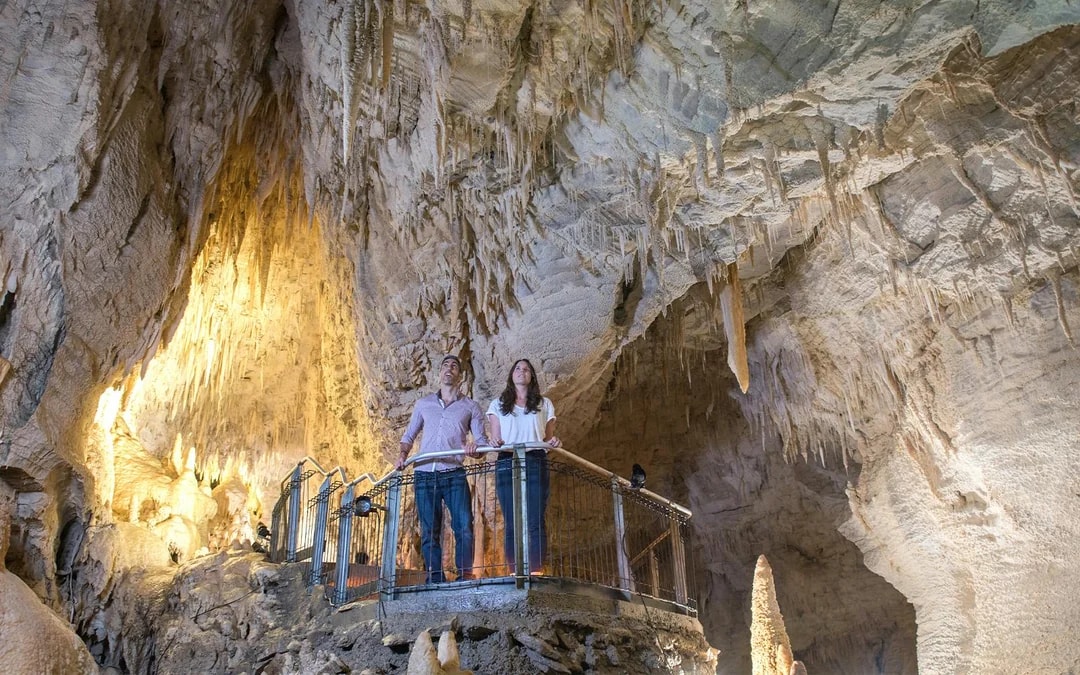 Ruakuri Cave Guided Tour Image 10
