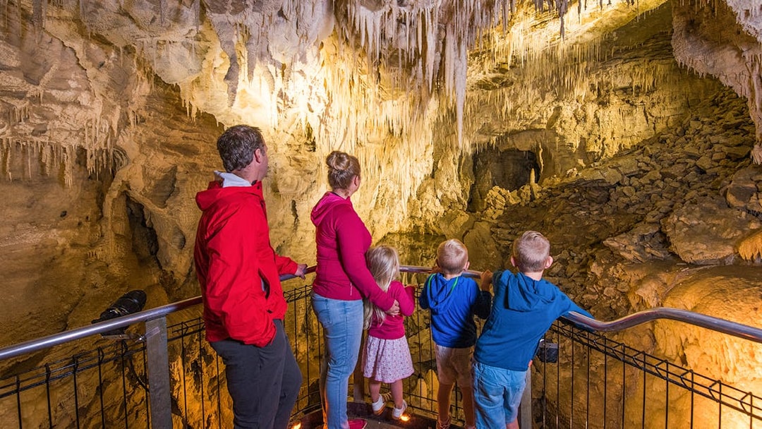 Visitors exploring stalactites in Ruakuri Cave during a guided tour.