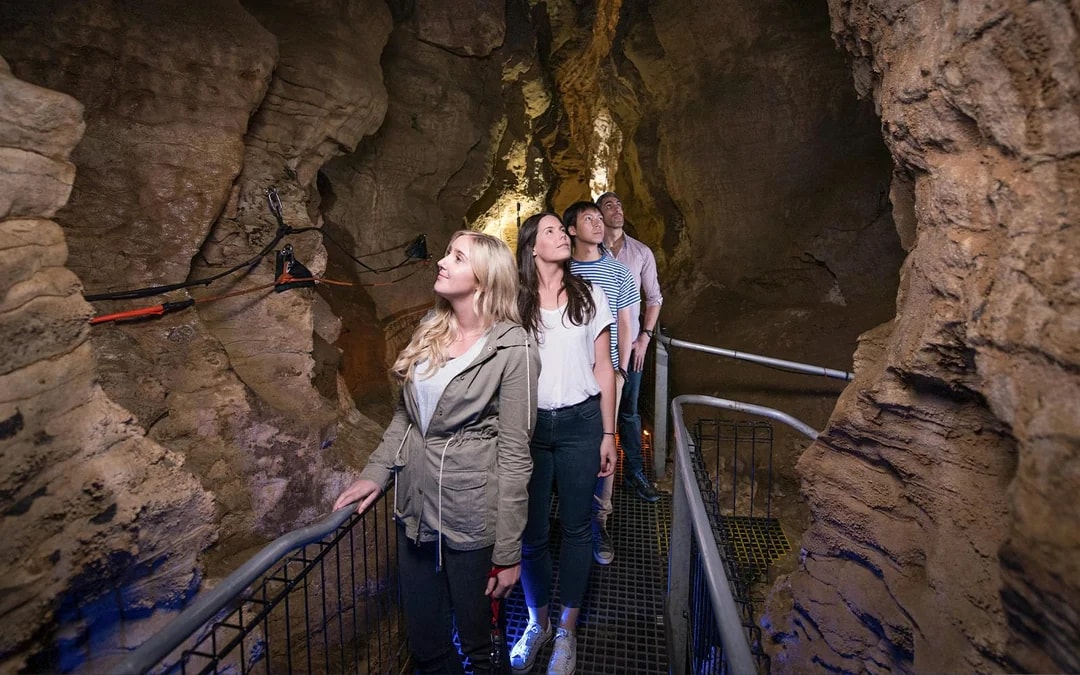 Ruakuri Cave Guided Tour Image 2