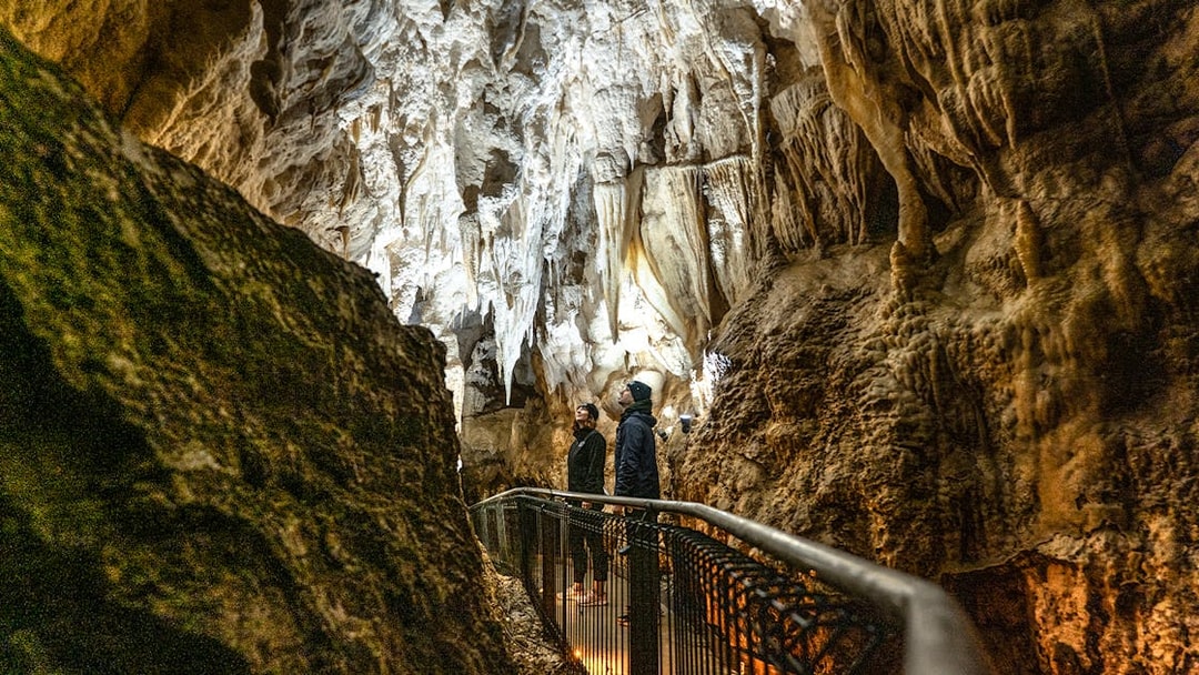 Visitors exploring stalactites in Ruakuri Cave, New Zealand.