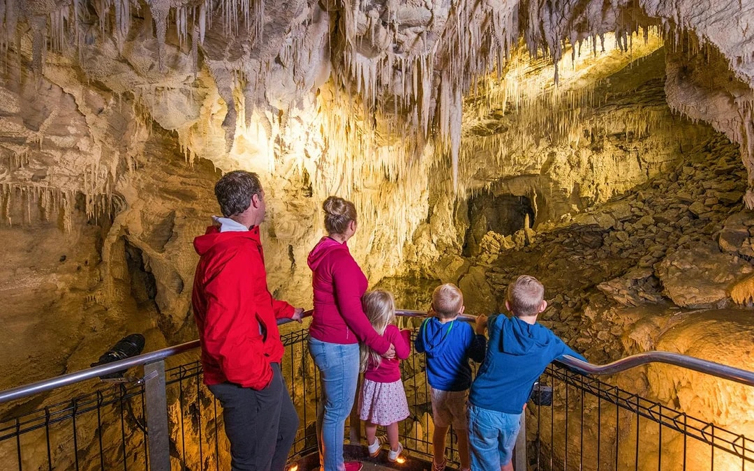 Ruakuri Cave Guided Tour Image 3