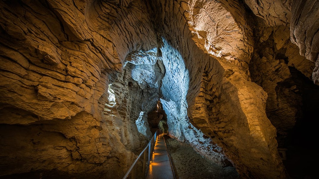 Guided walkway through Ruakuri Cave with illuminated limestone formations.