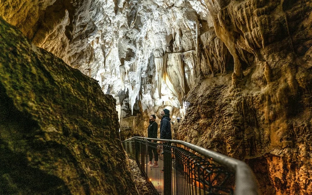 Ruakuri Cave Guided Tour Image 4