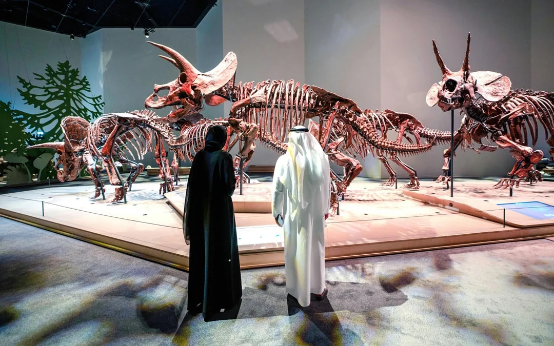 Saadiyat Cultural District Museum Pass: Louvre Abu Dhabi, Zayed National Museum & Natural History Museum Abu Dhabi Image 6