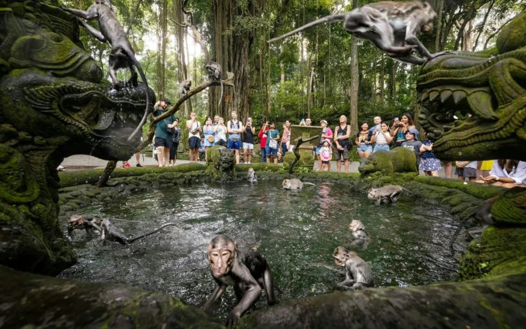 Sacred Monkey Forest Ubud Tickets Image 3