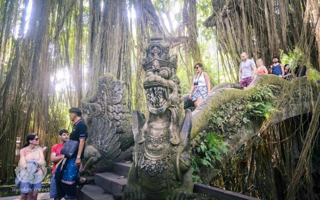 Sacred Monkey Forest Ubud Tickets Image 7