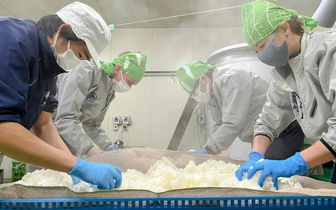 Sado Island Obata Sake Brewery Guided Tour and Tasting