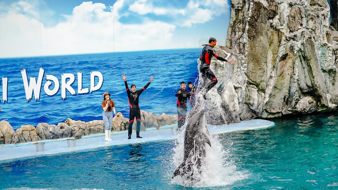 Trainer performing with dolphins at Marine Park show.