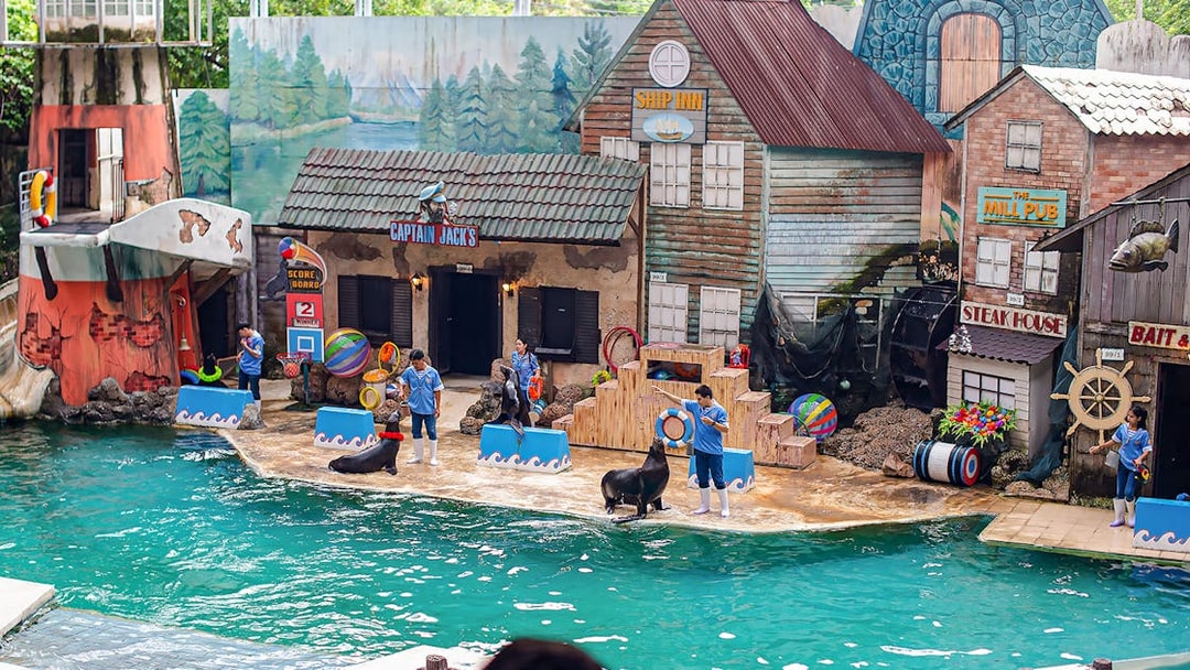 Seals performing tricks with trainers at Marine Park's themed show area.