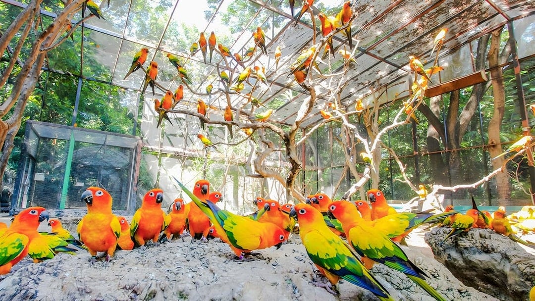 Safari World Tickets with Buffet Lunch and Transfers, Bangkok