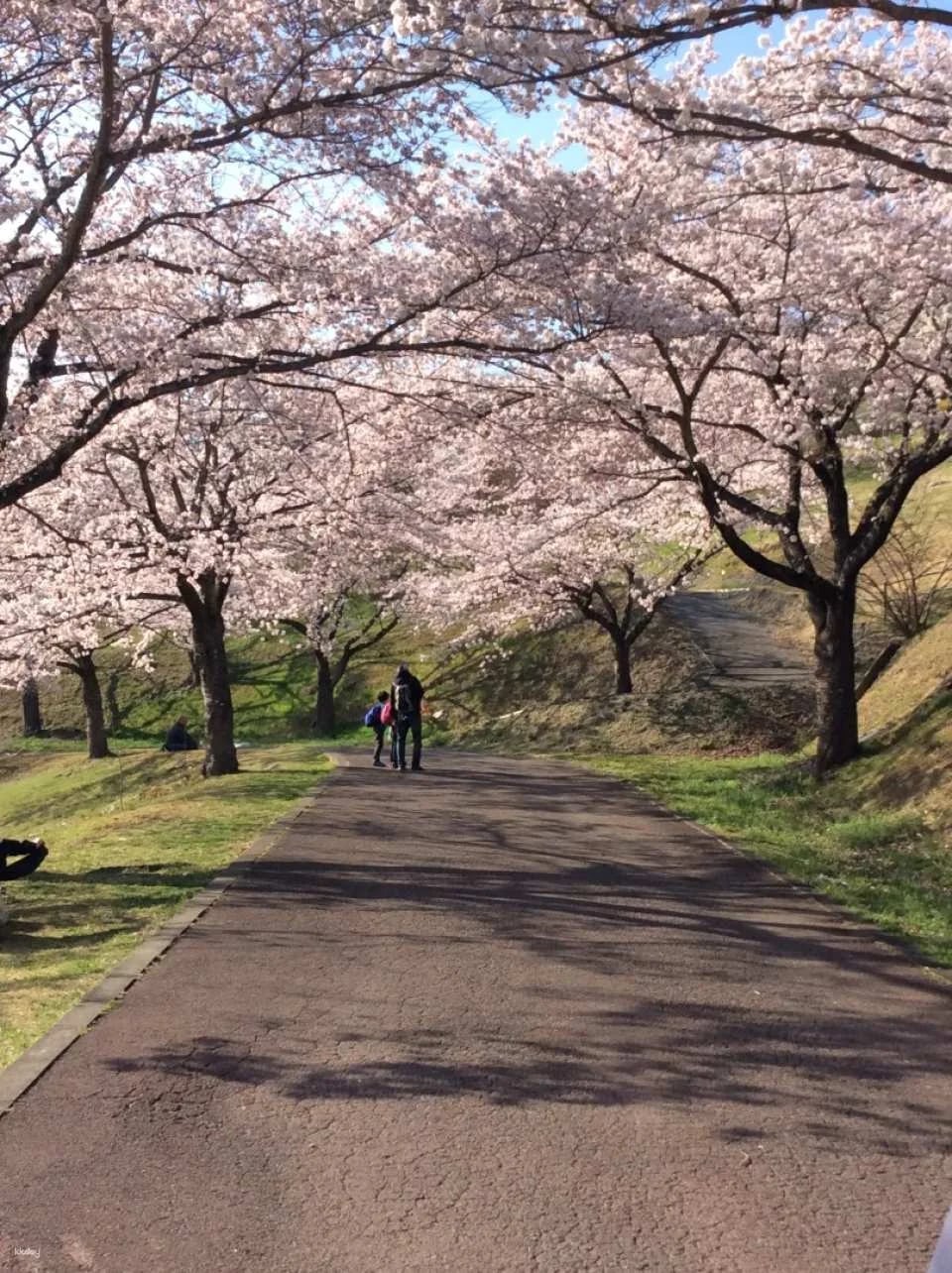 [Kanagawa, Sagamihara] Sagamiko MORIMORI Admission Ticket (Admission Ticket / Free Pass / Night Free Pass)