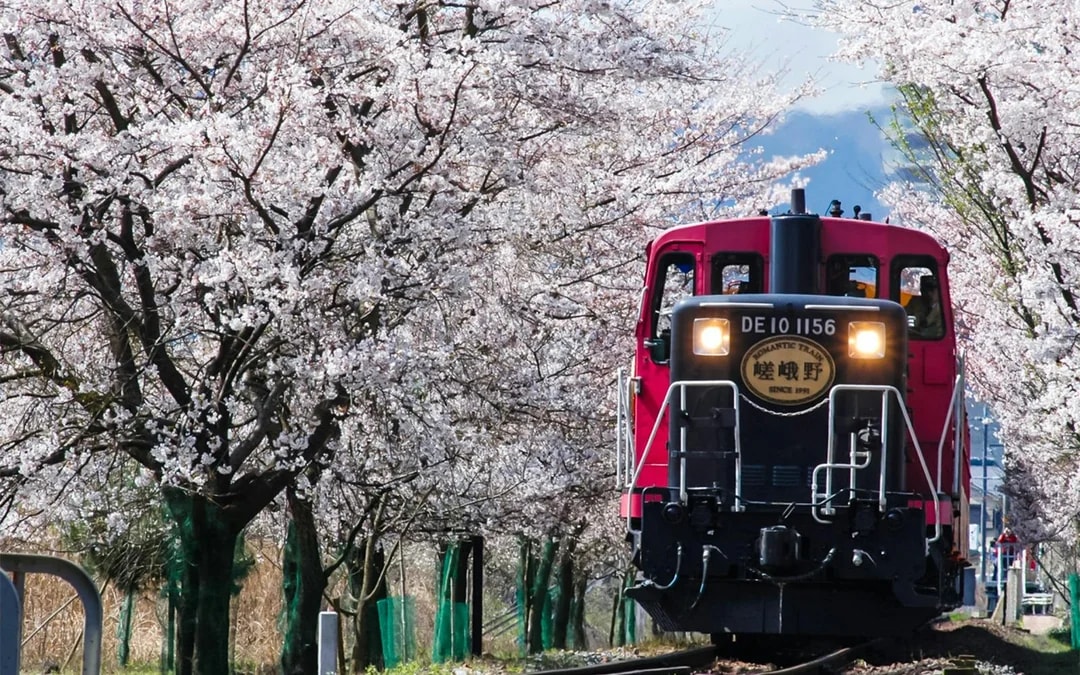 Sagano Romantic Train Ticket: Saga to/from Kameoka Image 5
