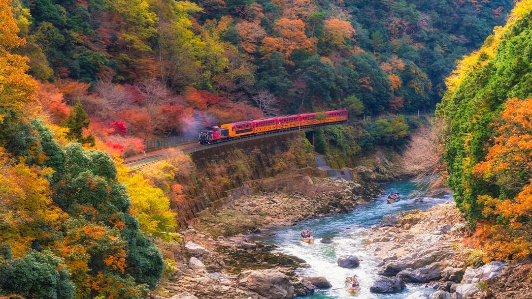 Sagano Romantic Train passing through vibrant autumn foliage in Kyoto, Japan.