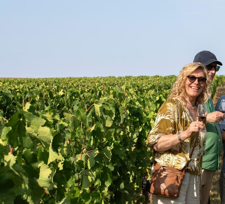 From Bordeaux: Afternoon Saint-Emilion Wine Tasting & snack