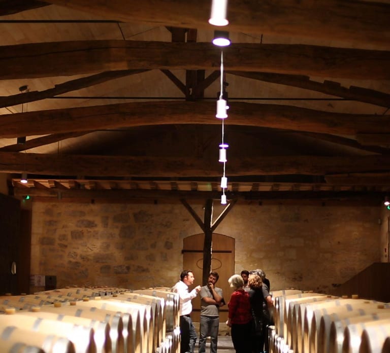 From Bordeaux: Afternoon Saint-Emilion Wine Tasting & snack